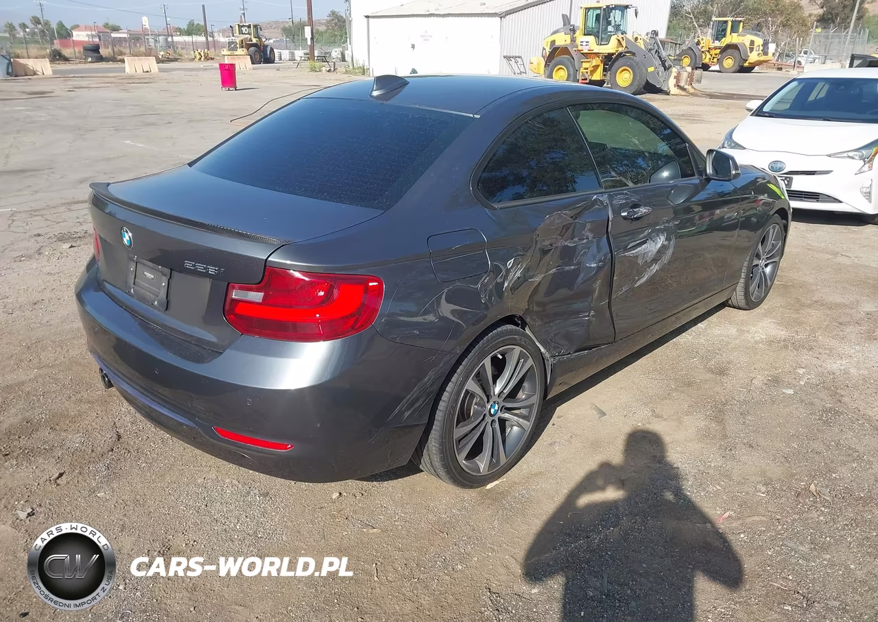 2016 BMW 228I VIN:WBA1F9C53GV546610 - 4