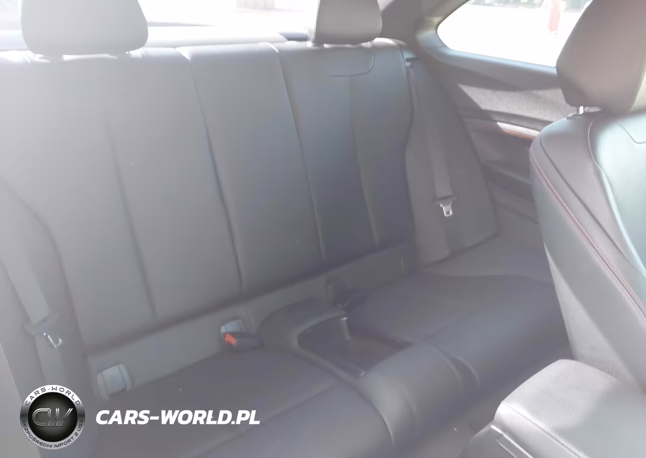 2016 BMW 228I VIN:WBA1F9C53GV546610 - 8