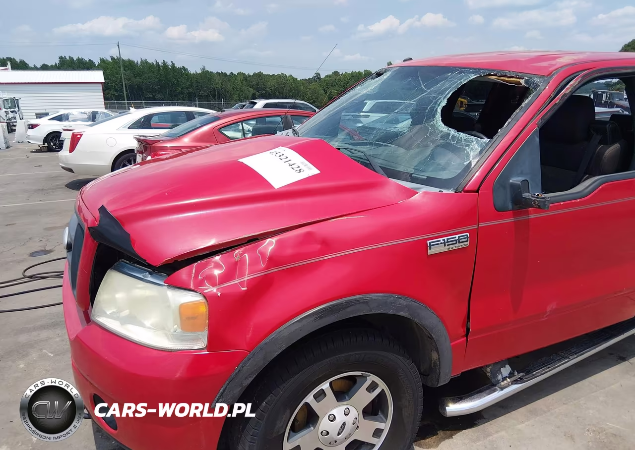 2006 Ford F-150 Fx4-Lariat-Xl-Xlt VIN:1FTPX14536FA36244 - 6
