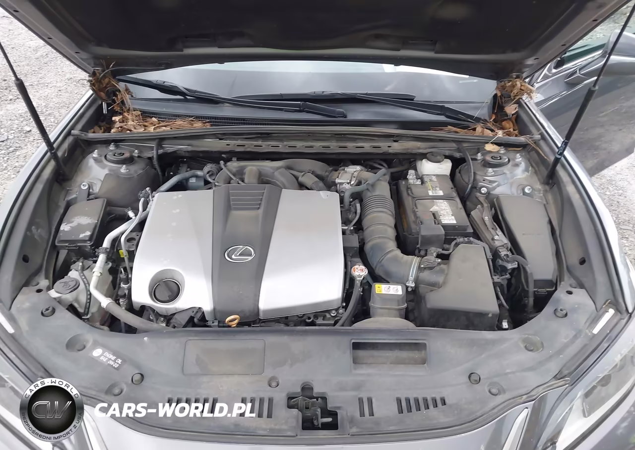 2021 Lexus Es 350 F Sport VIN:58AGZ1B17MU087723 - 10