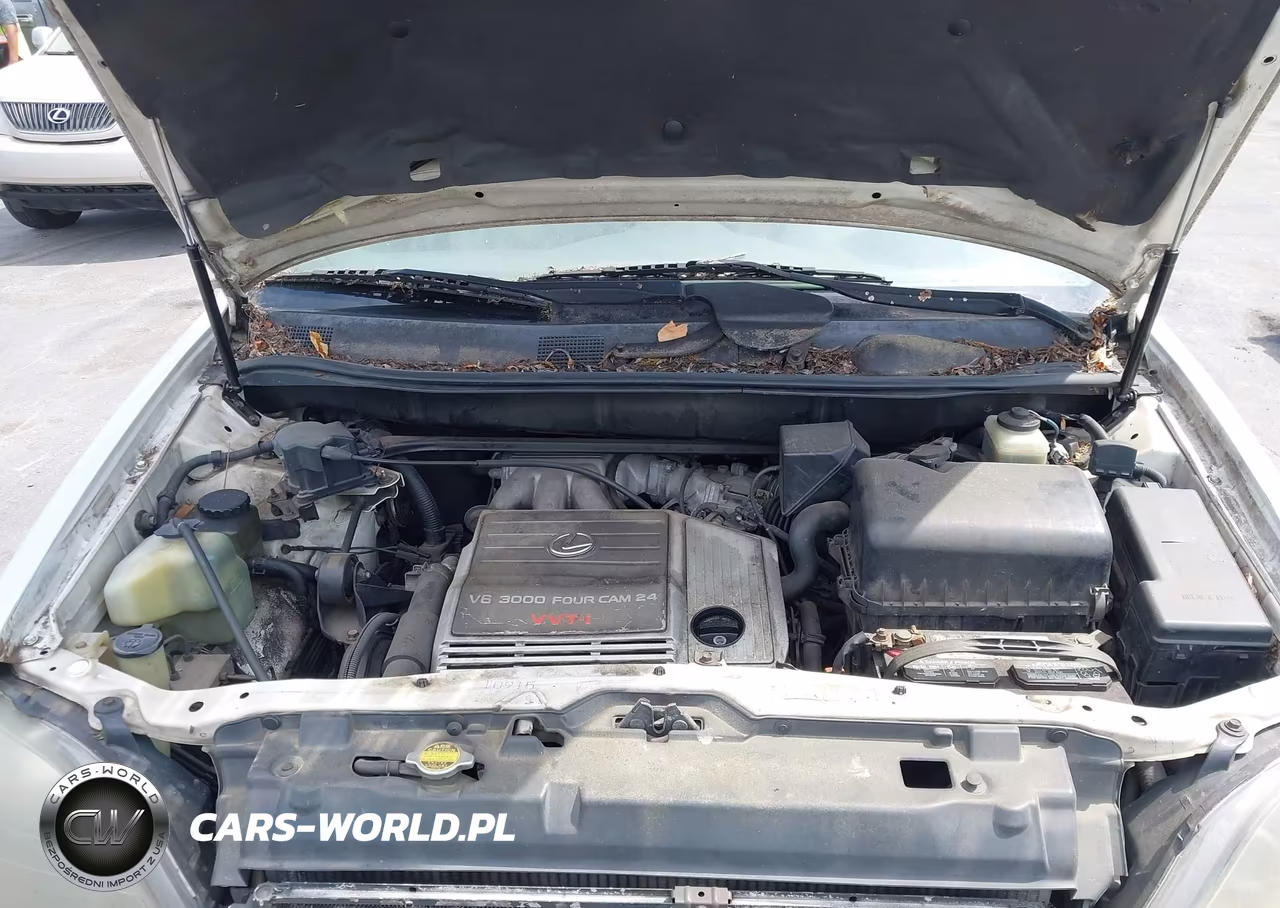 2000 Lexus Rx 300 VIN:JT6GF10U9Y0059735 - 10