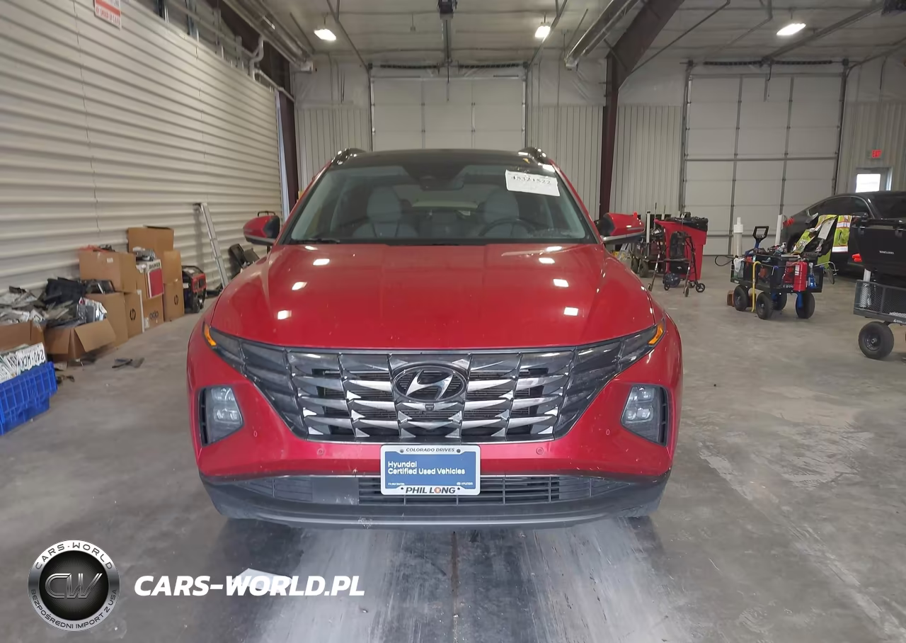 2023 Hyundai Tucson Limited VIN:5NMJECAE2PH214418 - 12