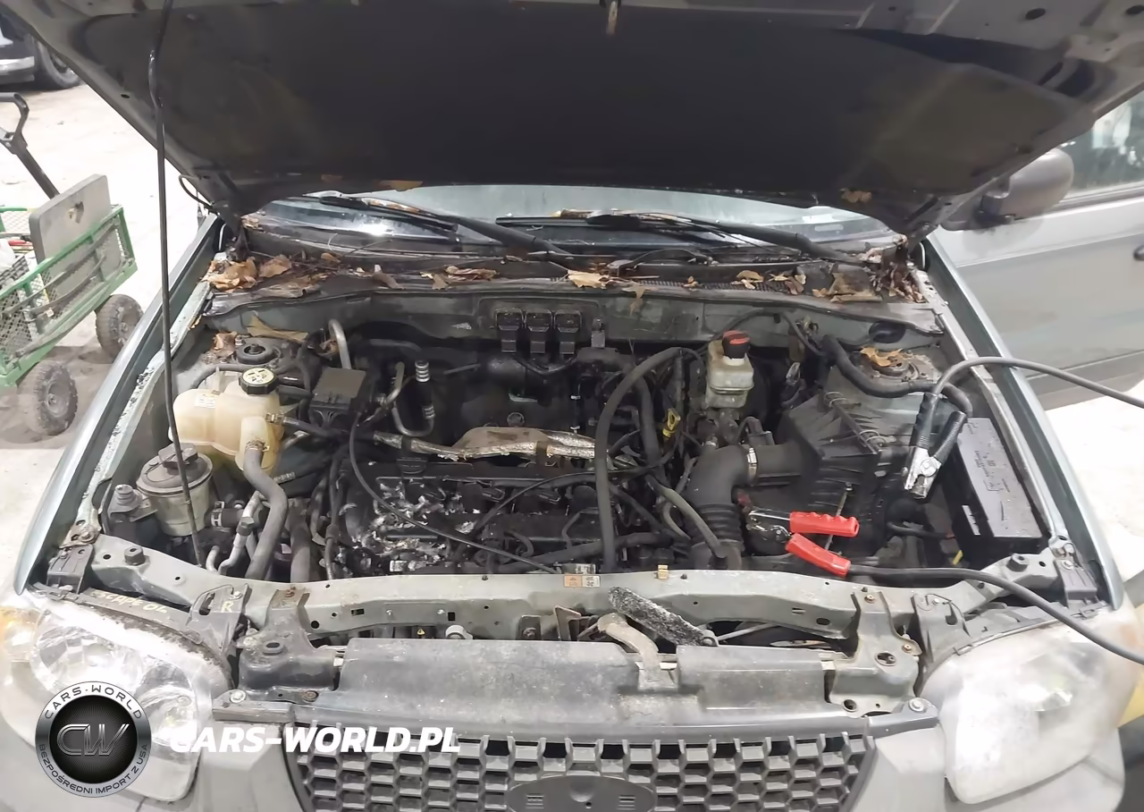 2005 Ford Escape Xls VIN:1FMYU92Z95KA55660 - 10