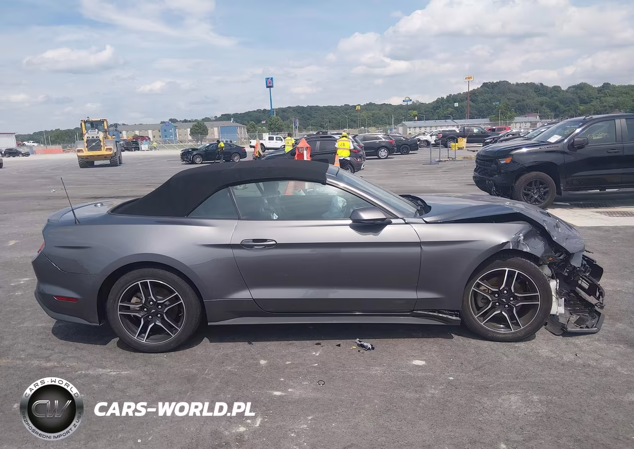 2022 Ford Mustang Ecoboost Premium VIN:1FATP8UHXN5102834 - 13