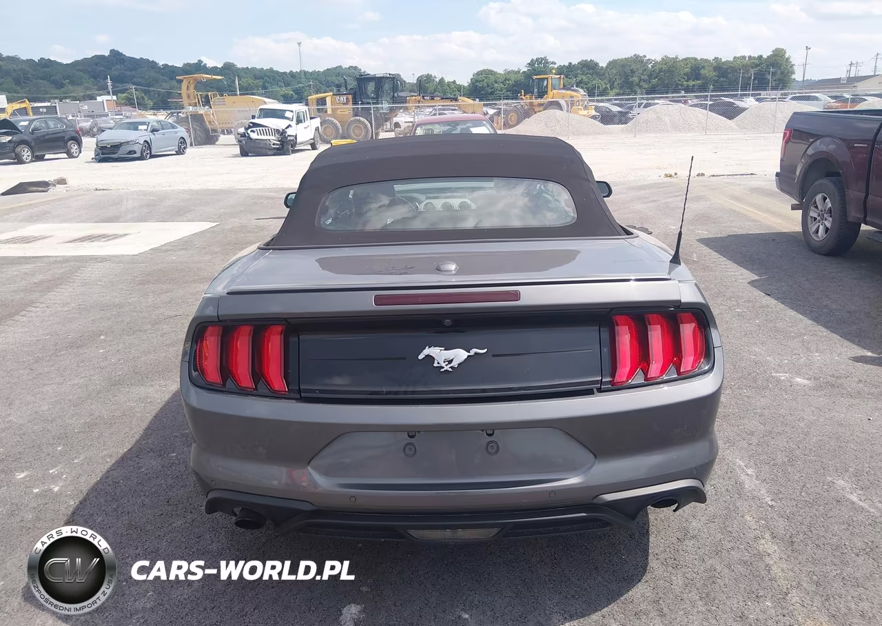 2022 Ford Mustang Ecoboost Premium VIN:1FATP8UHXN5102834 - 16