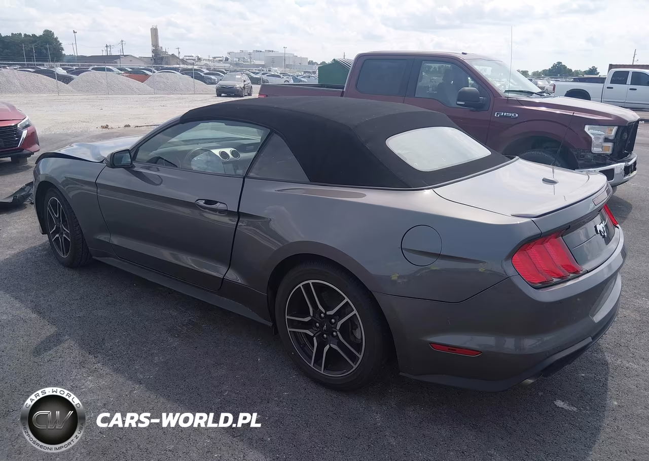 2022 Ford Mustang Ecoboost Premium VIN:1FATP8UHXN5102834 - 3