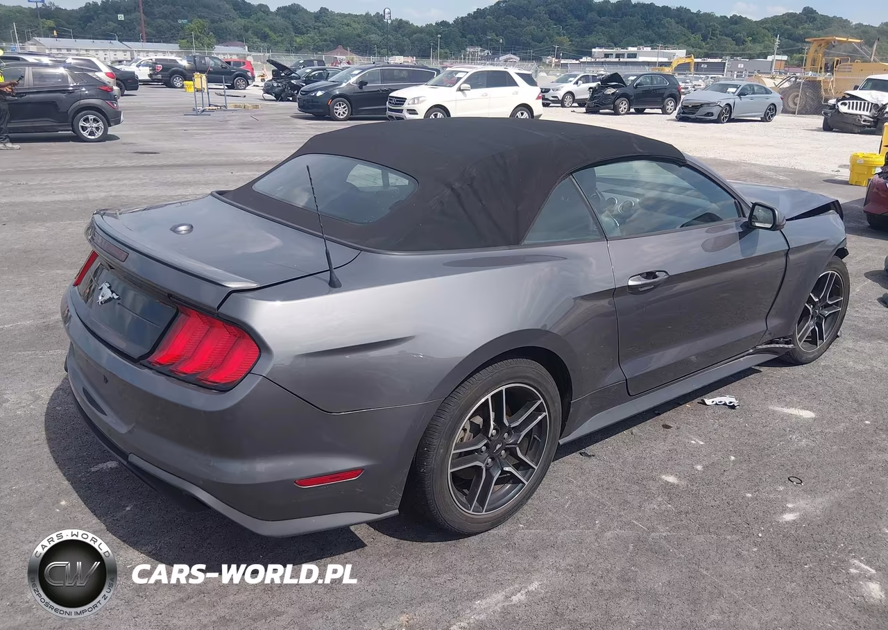 2022 Ford Mustang Ecoboost Premium VIN:1FATP8UHXN5102834 - 4