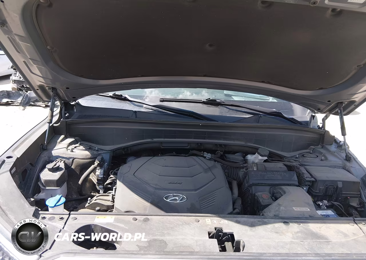 2022 Hyundai Palisade Calligraphy VIN:KM8R74HE0NU486783 - 10