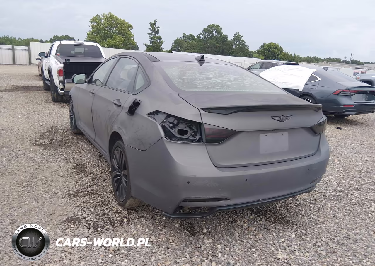 2017 Genesis G80 5.0 Ultimate VIN:KMHGN4JF0HU173334 - 3