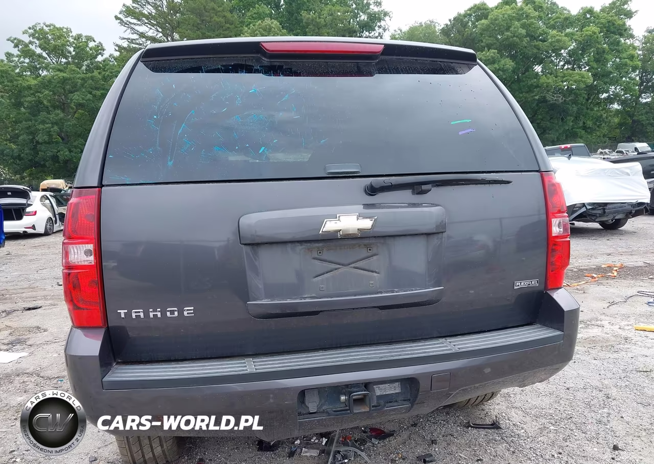 2010 Chevrolet Tahoe Ls VIN:1GNUCAE06AR285668 - 17