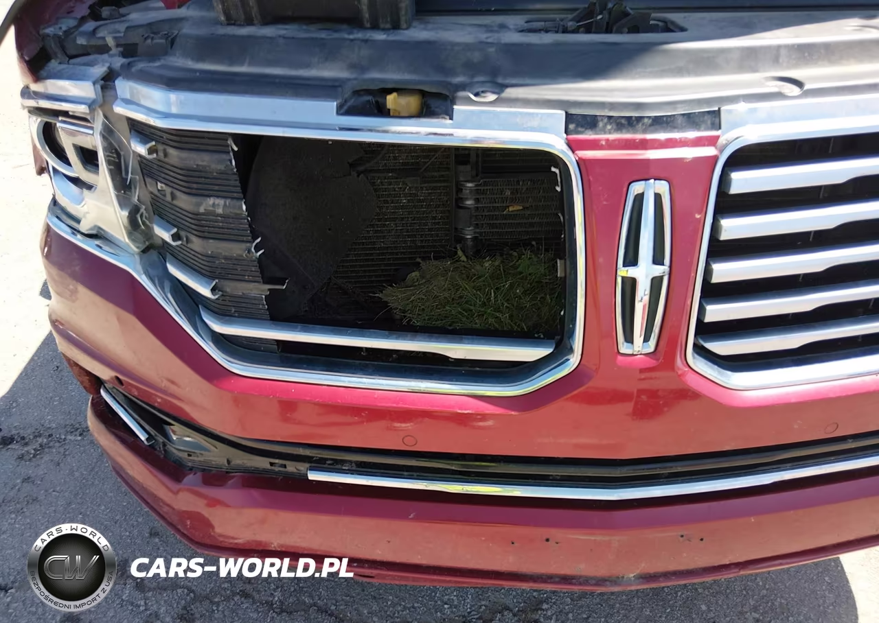 2015 Lincoln Navigator L VIN:5LMJJ3JT5FEJ00272 - 6