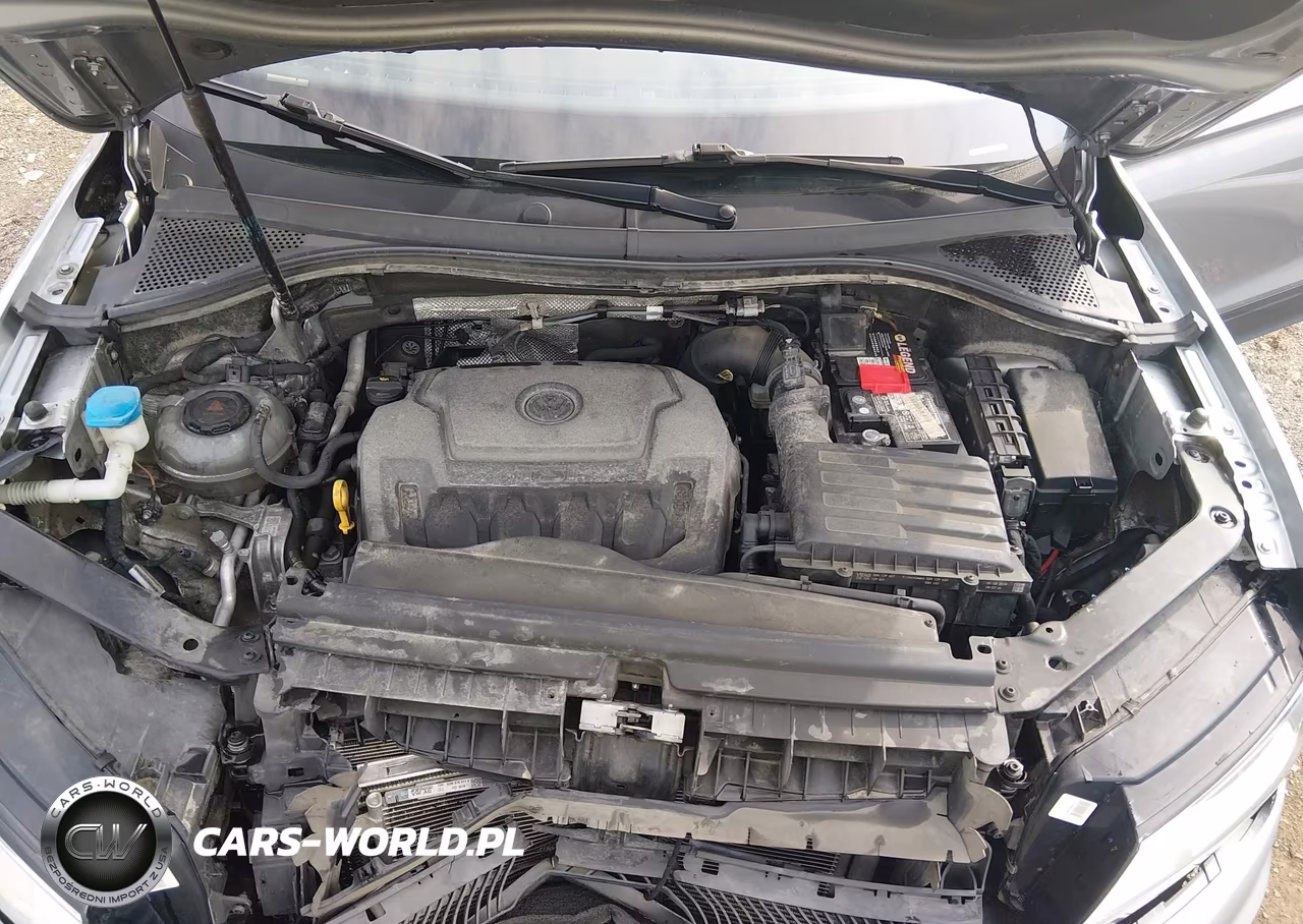 2019 Volkswagen Tiguan 2.0T S VIN:3VV0B7AX8KM110715 - 10