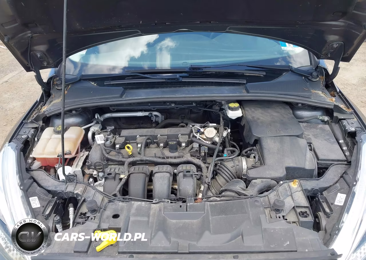 2018 Ford Focus Se VIN:1FADP3F2XJL228262 - 10