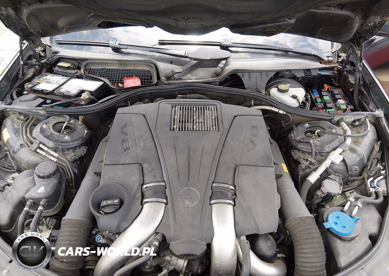 2013 Mercedes-Benz S 550 VIN:WDDNG7DB5DA516270 - 10