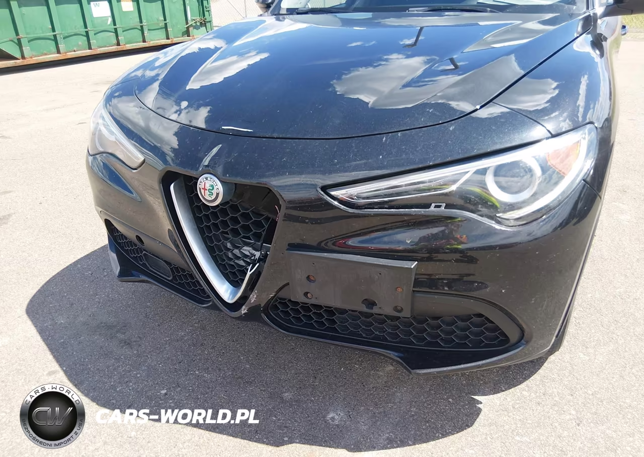 2018 Alfa Romeo Stelvio Awd VIN:ZASFAKAN1J7B89304 - 6