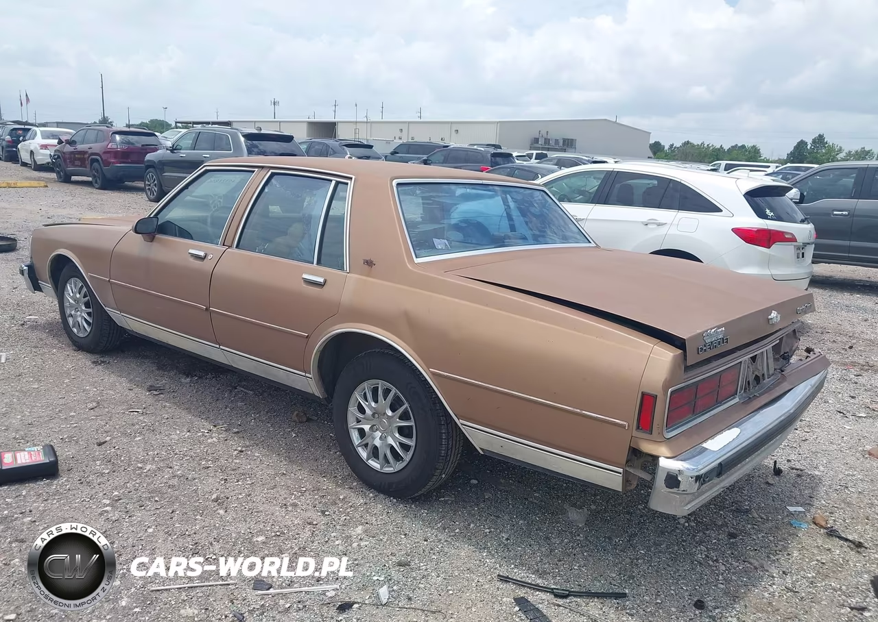 1989 Chevrolet Caprice Classic VIN:1G1BN51E8KR189473 - 3