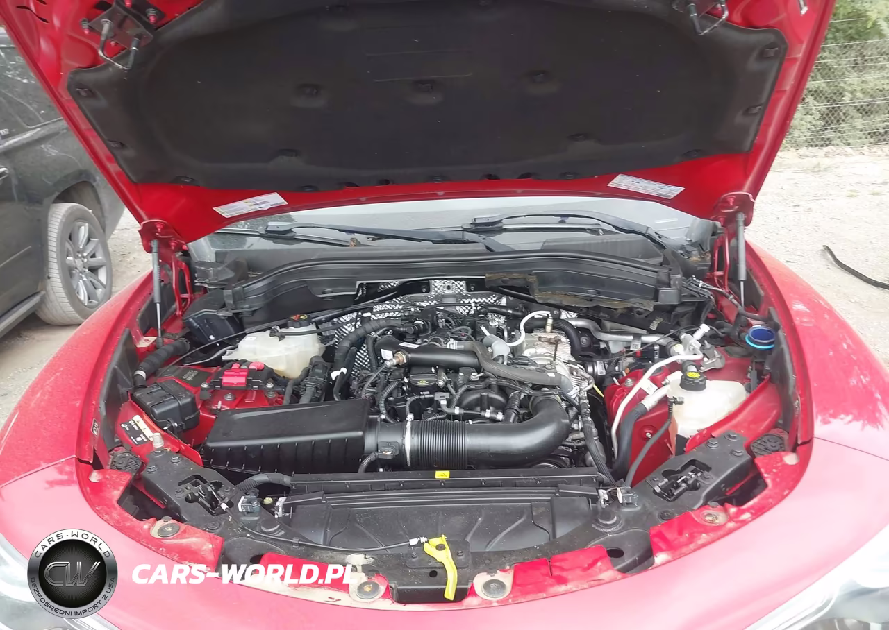 2019 ALFA ROMEO STELVIO TI AWD VIN:ZASPAKBNXK7C31179 - 10