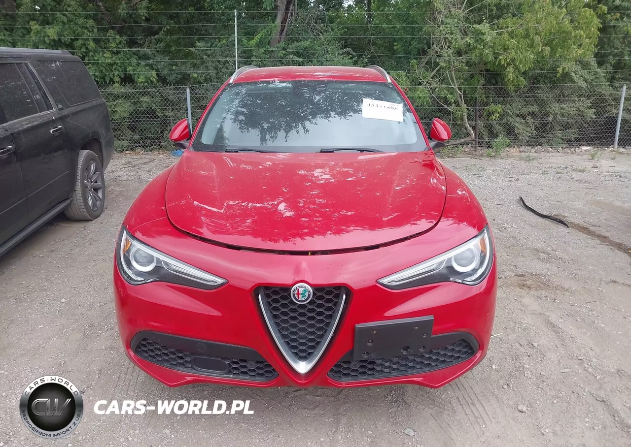 2019 ALFA ROMEO STELVIO TI AWD VIN:ZASPAKBNXK7C31179 - 12