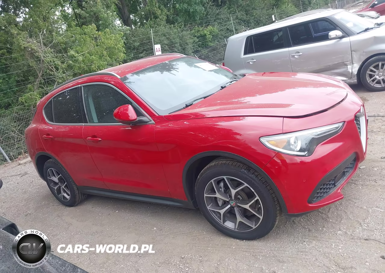 2019 ALFA ROMEO STELVIO TI AWD VIN:ZASPAKBNXK7C31179 - 13