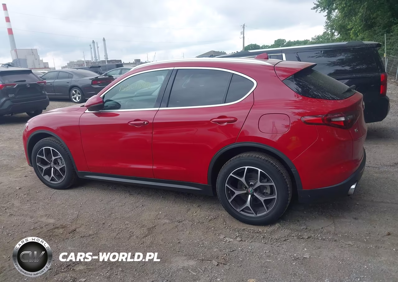 2019 ALFA ROMEO STELVIO TI AWD VIN:ZASPAKBNXK7C31179 - 14