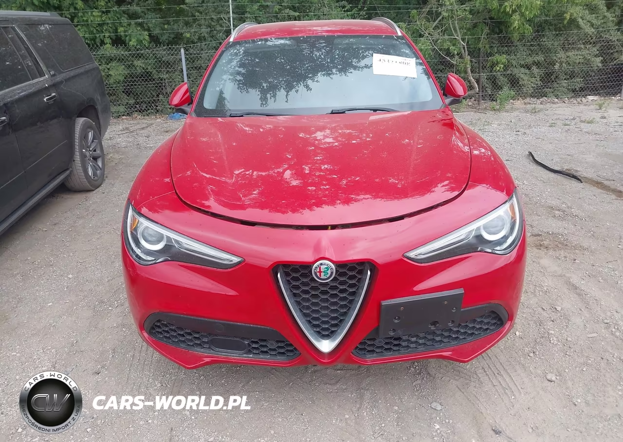 2019 ALFA ROMEO STELVIO TI AWD VIN:ZASPAKBNXK7C31179 - 6