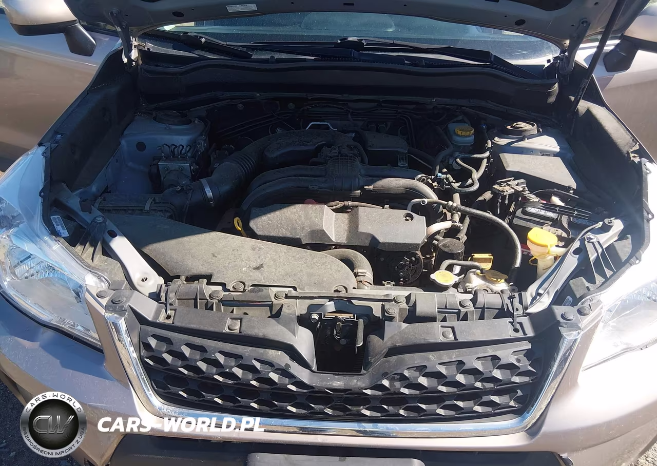 2014 Subaru Forester 2.5I Premium VIN:JF2SJAEC9EH520495 - 10