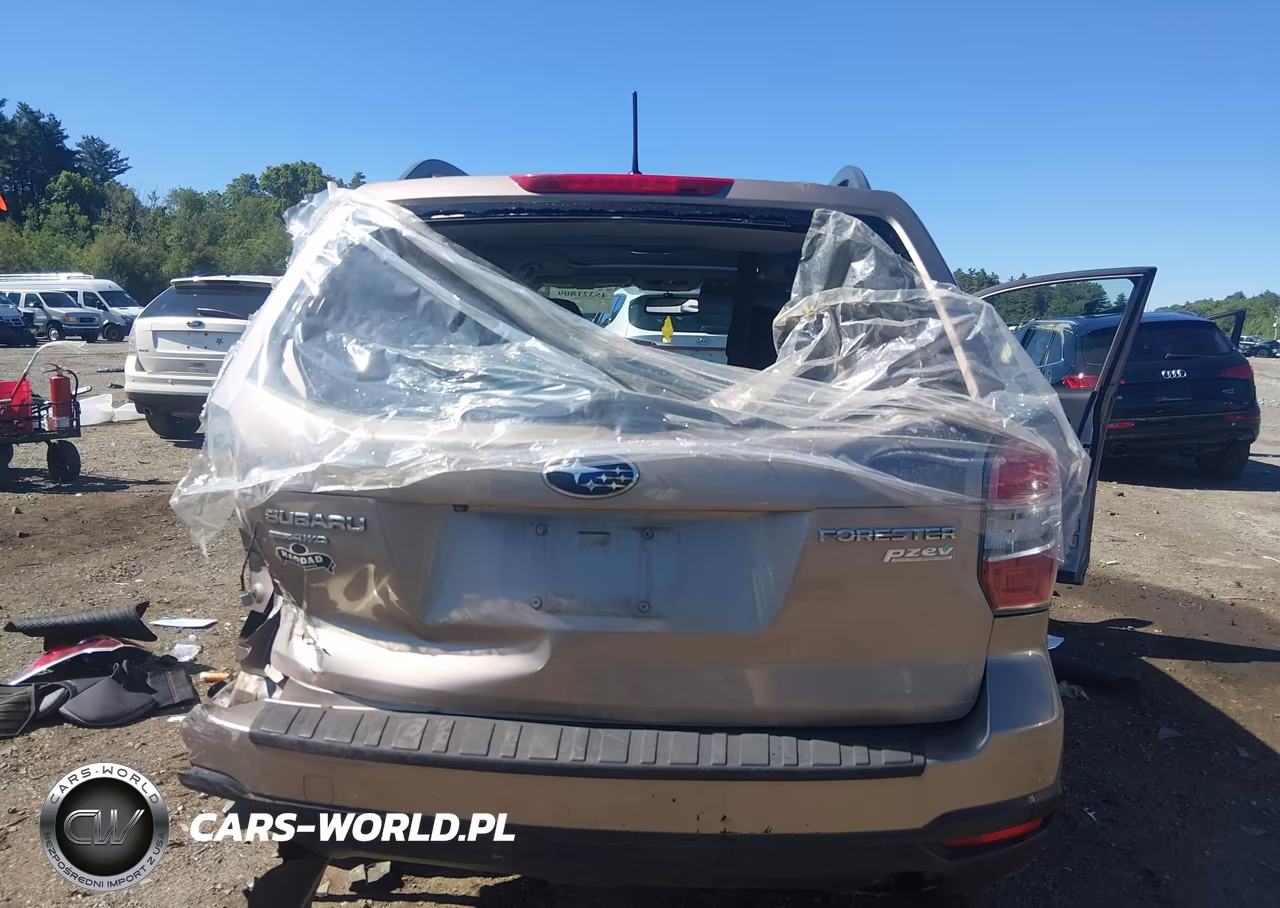 2014 Subaru Forester 2.5I Premium VIN:JF2SJAEC9EH520495 - 16