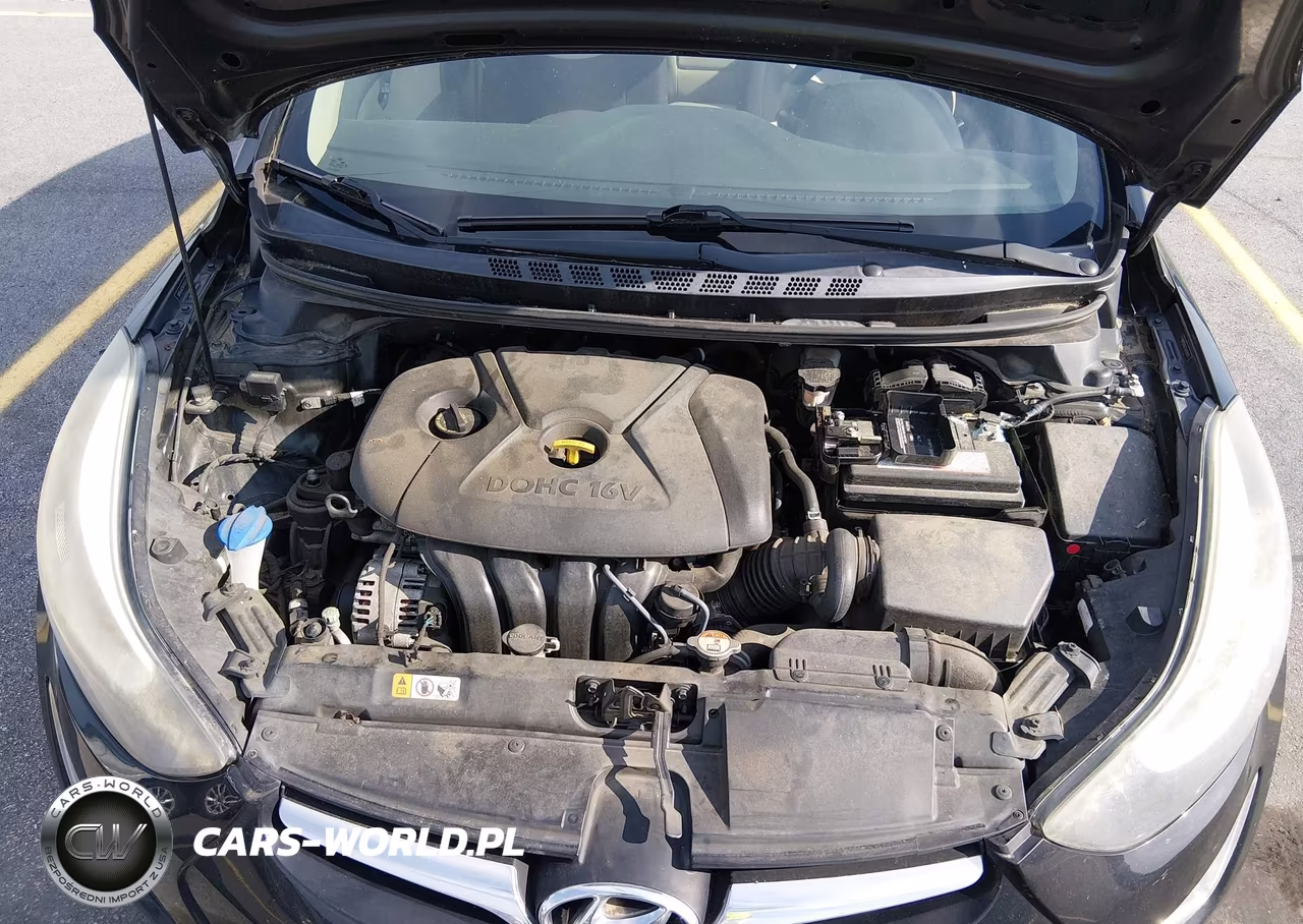 2016 Hyundai Elantra Se VIN:5NPDH4AE1GH701977 - 10