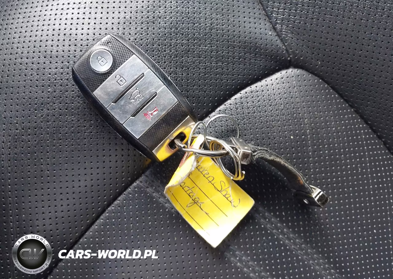 2014 Kia Sportage Sx VIN:KNDPC3A69E7567929 - 11