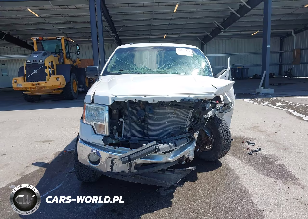 2012 Ford F-150 Xlt VIN:1FTFW1EFXCFC13521 - 13