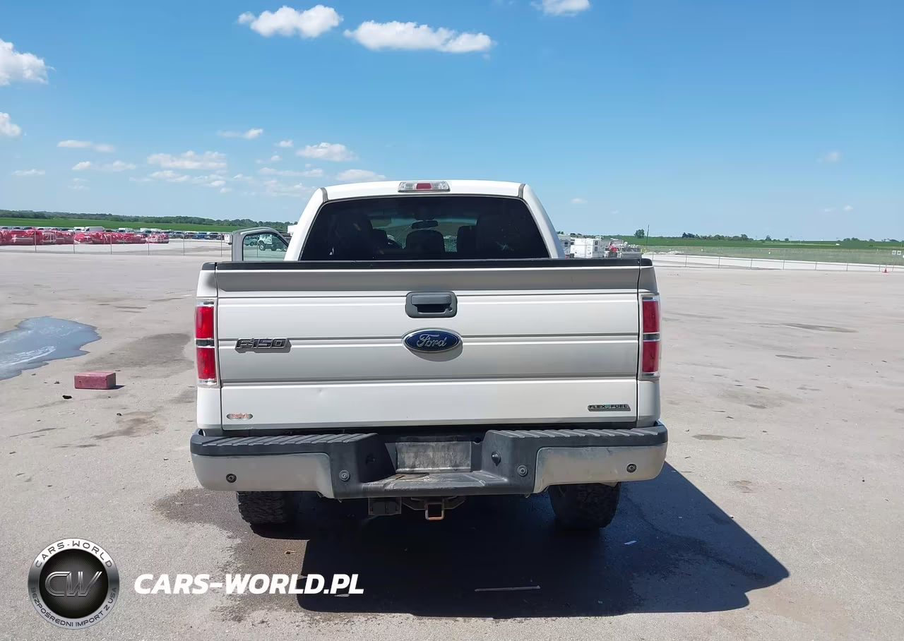 2012 Ford F-150 Xlt VIN:1FTFW1EFXCFC13521 - 17