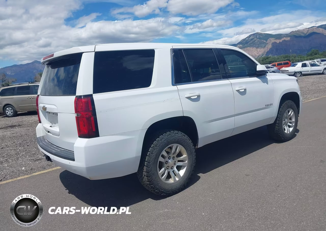 2020 Chevrolet Tahoe 4Wd Commercial Fleet VIN:1GNSKEEC8LR128741 - 4