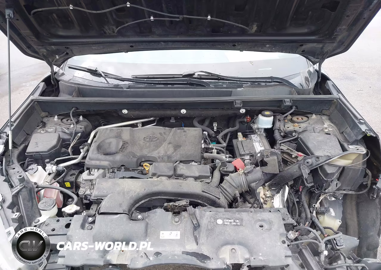 2019 Toyota Rav4 Limited VIN:2T3N1RFV6KC020473 - 10