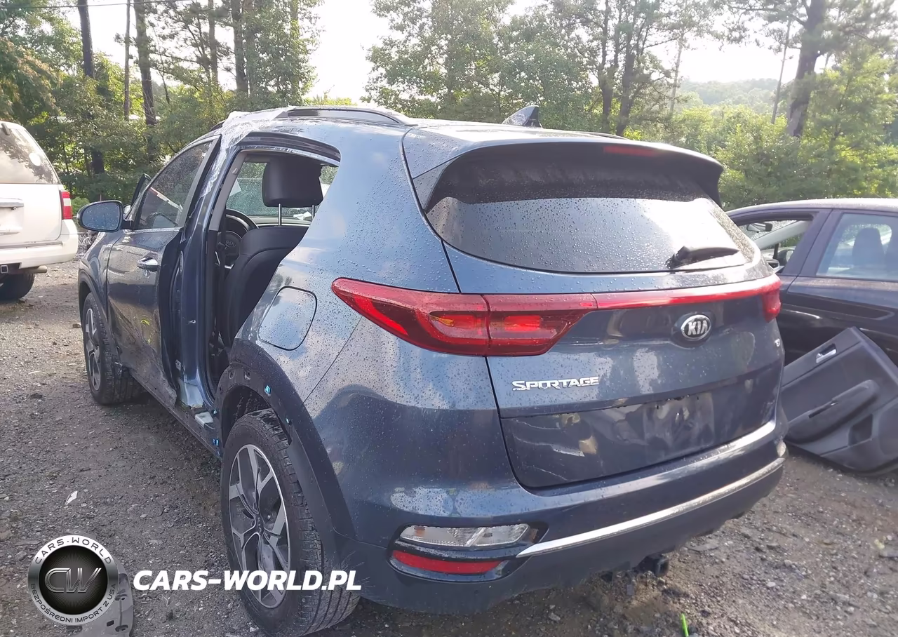 2020 Kia Sportage Ex VIN:KNDPN3AC3L7834219 - 3