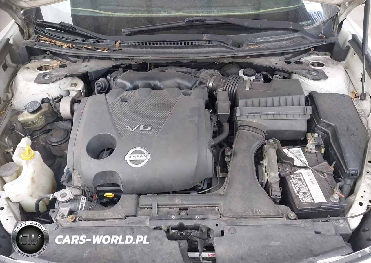 2009 Nissan Maxima 3.5 Sv VIN:1N4AA51E59C810962 - 10
