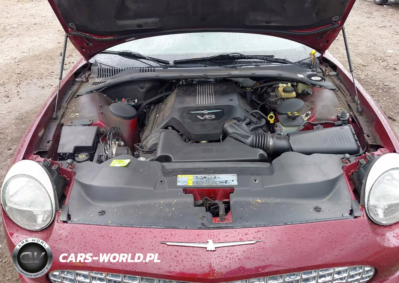2004 Ford Thunderbird VIN:1FAHP60A14Y104133 - 10