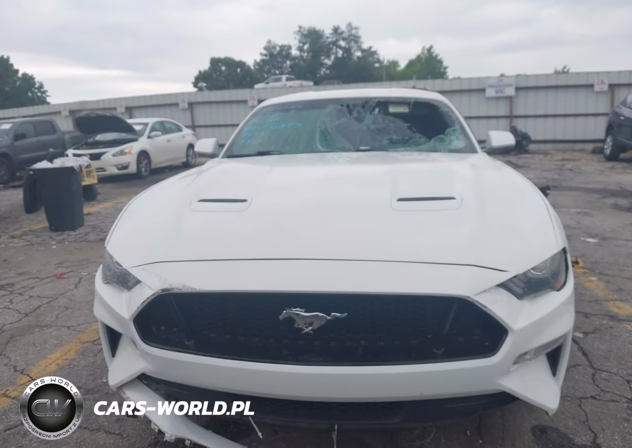 2019 Ford Mustang Gt VIN:1FA6P8CF7K5146847 - 12
