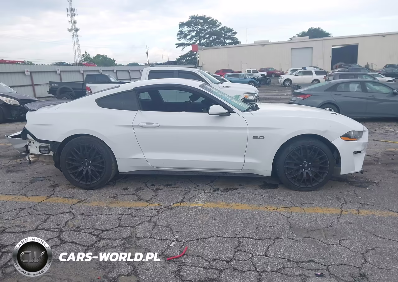 2019 Ford Mustang Gt VIN:1FA6P8CF7K5146847 - 13