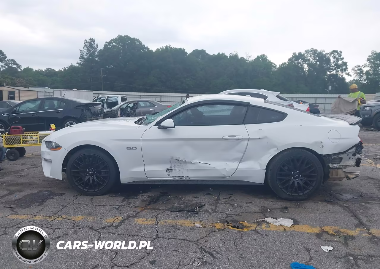 2019 Ford Mustang Gt VIN:1FA6P8CF7K5146847 - 14