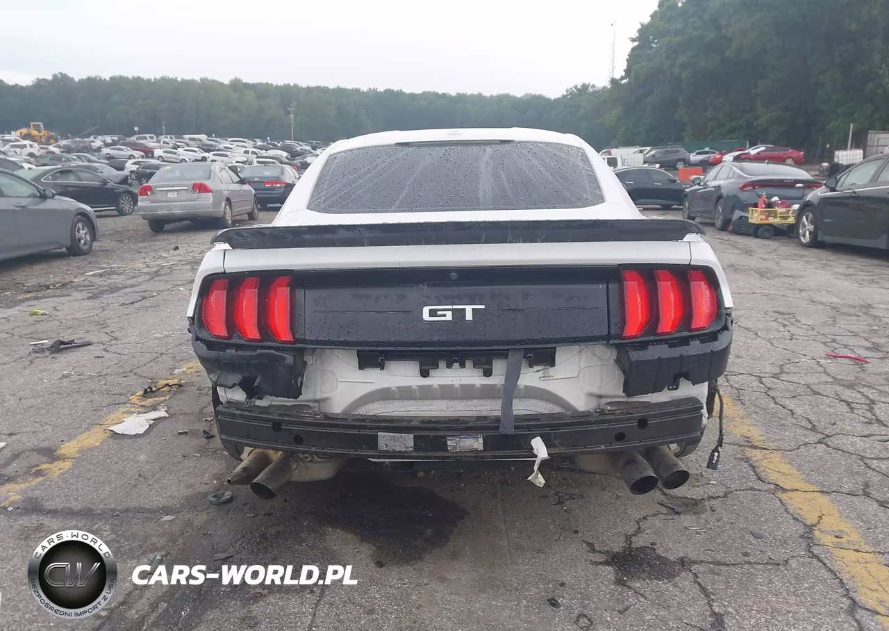 2019 Ford Mustang Gt VIN:1FA6P8CF7K5146847 - 16
