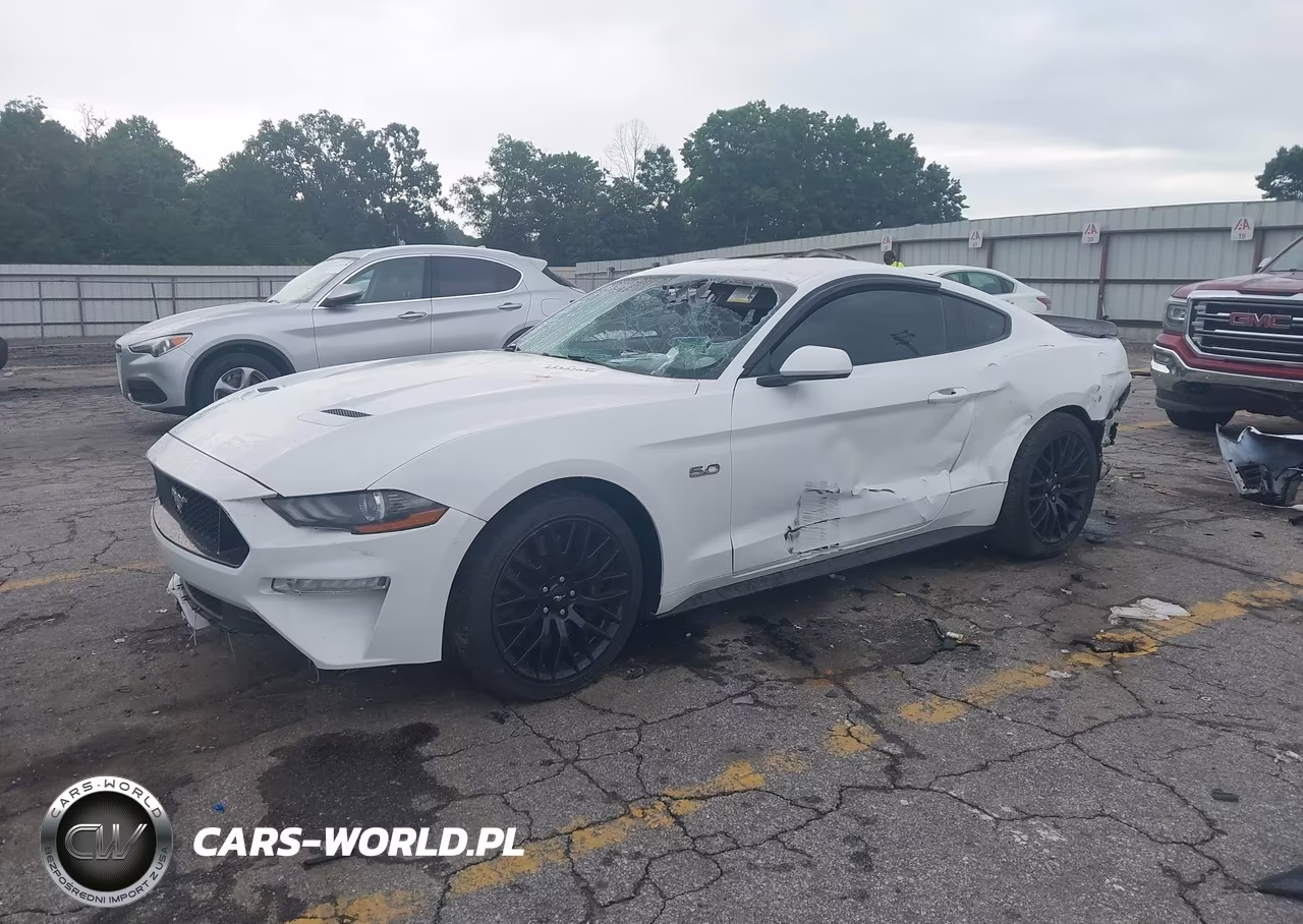 2019 Ford Mustang Gt VIN:1FA6P8CF7K5146847 - 2