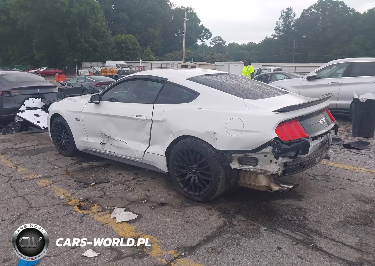 2019 Ford Mustang Gt VIN:1FA6P8CF7K5146847 - 3