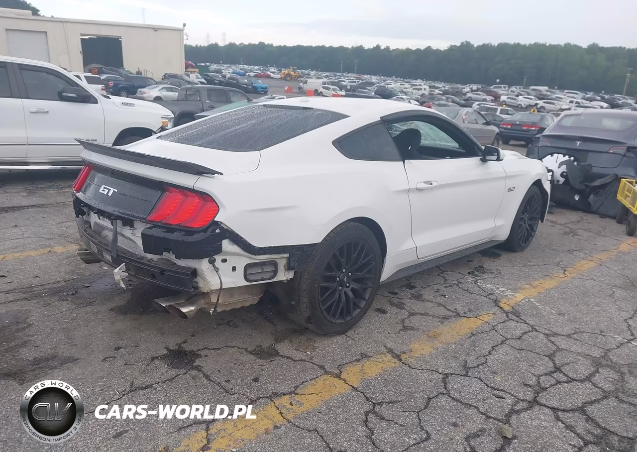 2019 Ford Mustang Gt VIN:1FA6P8CF7K5146847 - 4