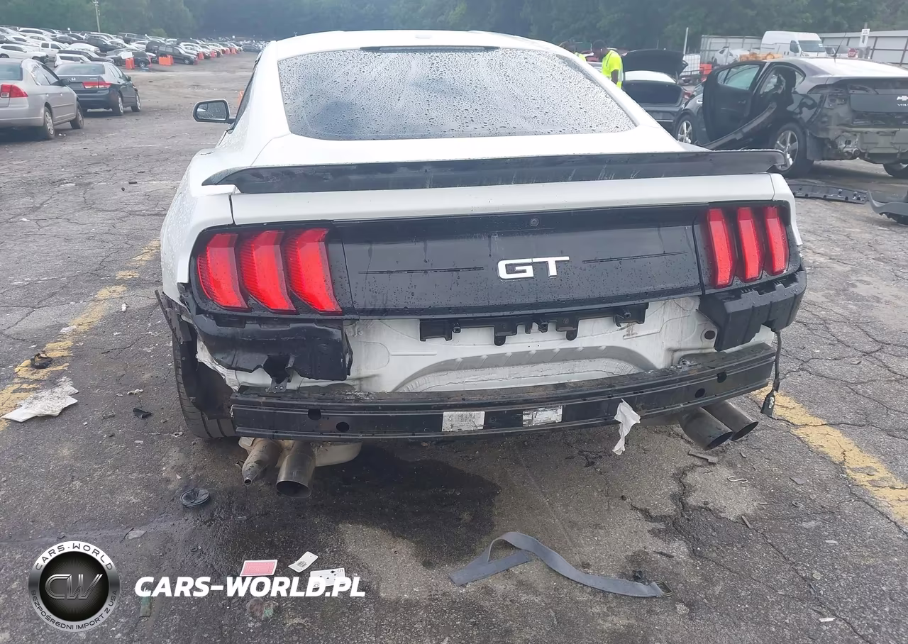 2019 Ford Mustang Gt VIN:1FA6P8CF7K5146847 - 6