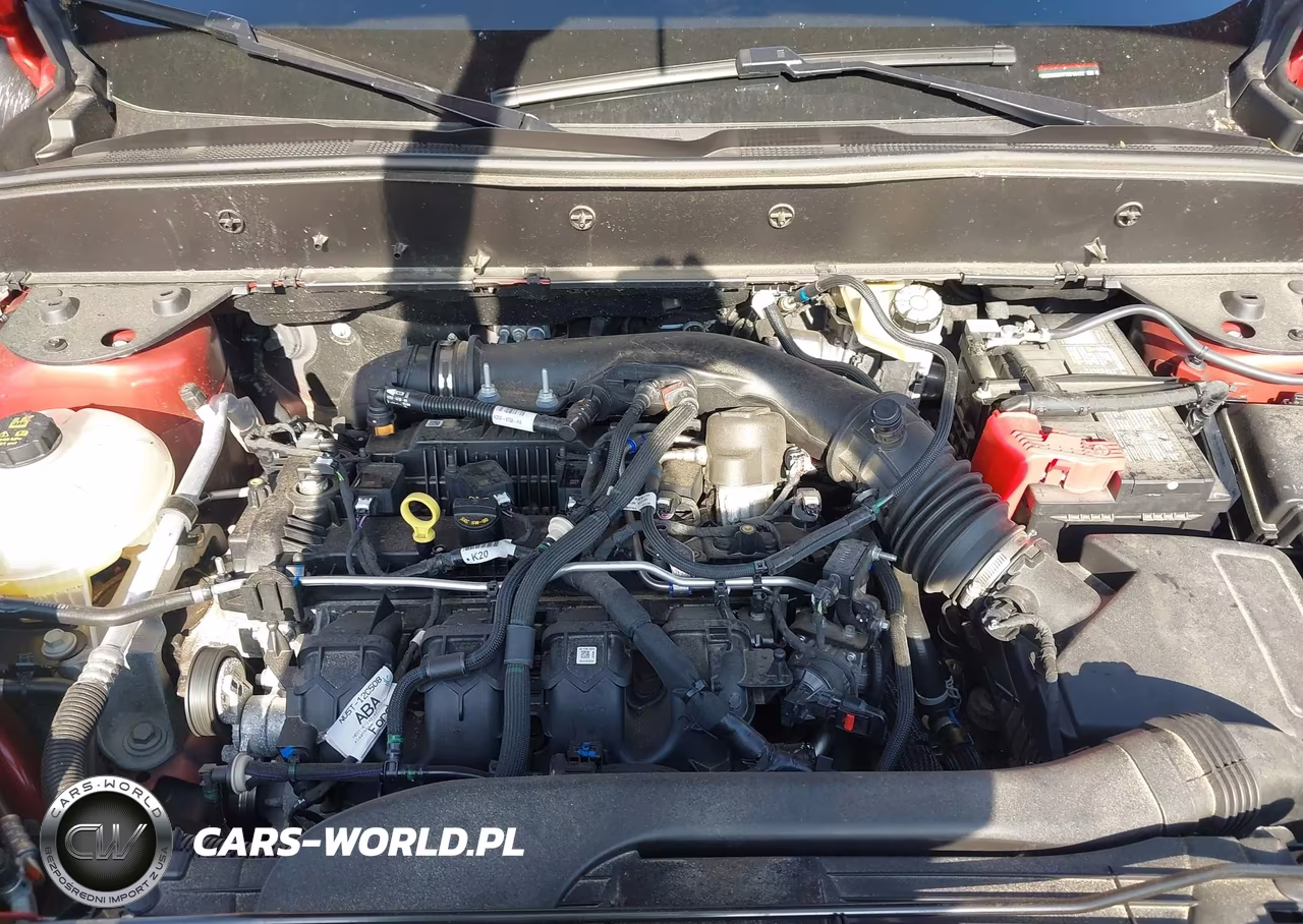 2023 Ford Bronco Sport Badlands VIN:3FMCR9D97PRD16422 - 10
