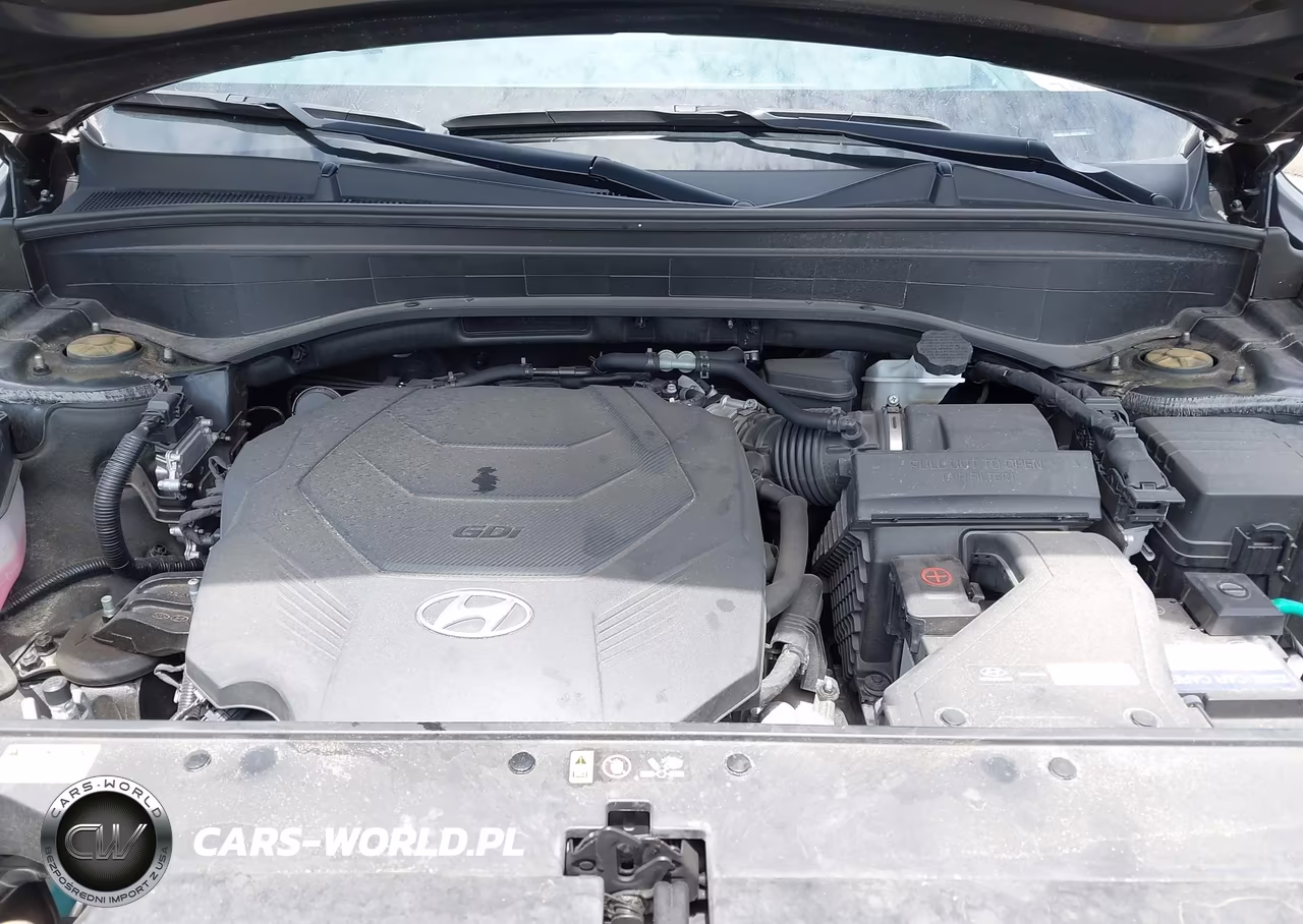 2024 Hyundai Palisade Calligraphy VIN:KM8R7DGE7RU755403 - 10