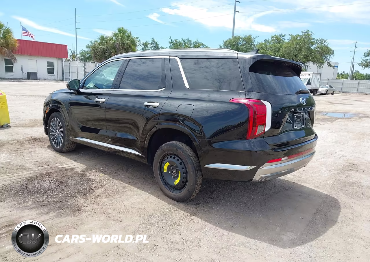 2024 Hyundai Palisade Calligraphy VIN:KM8R7DGE7RU755403 - 3