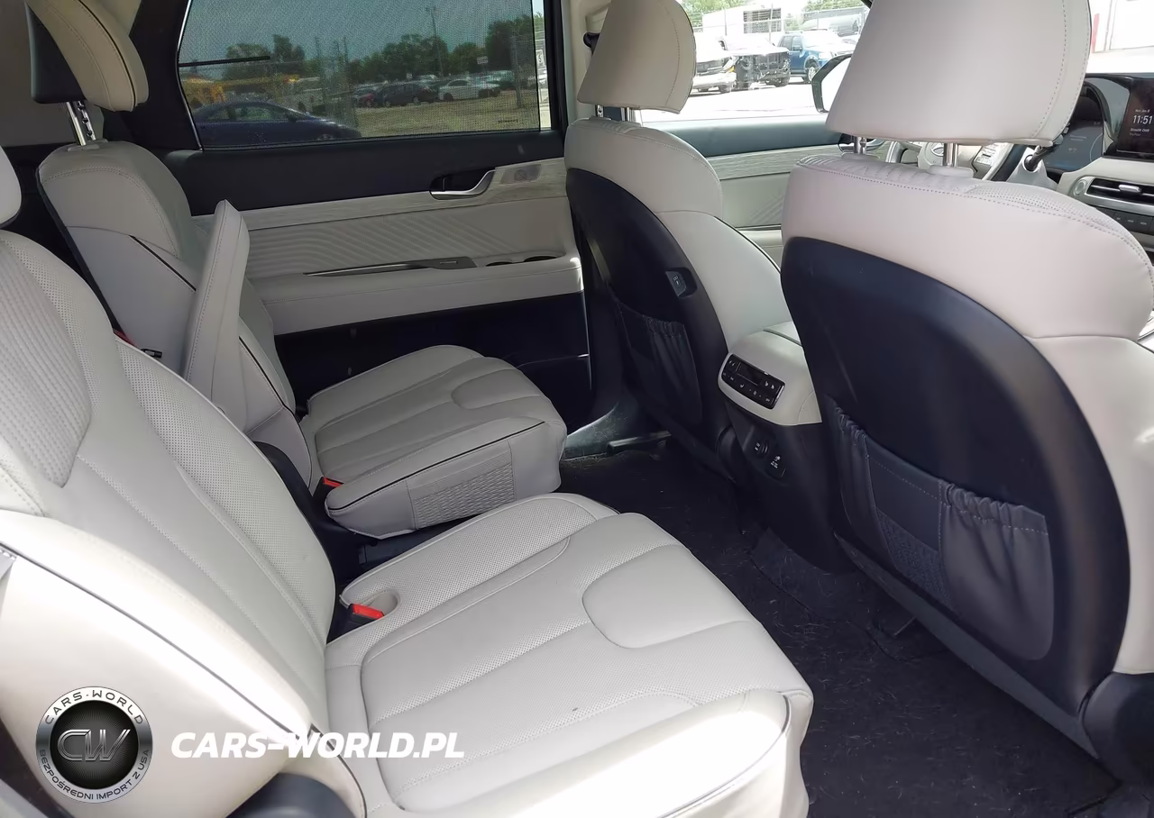 2024 Hyundai Palisade Calligraphy VIN:KM8R7DGE7RU755403 - 8