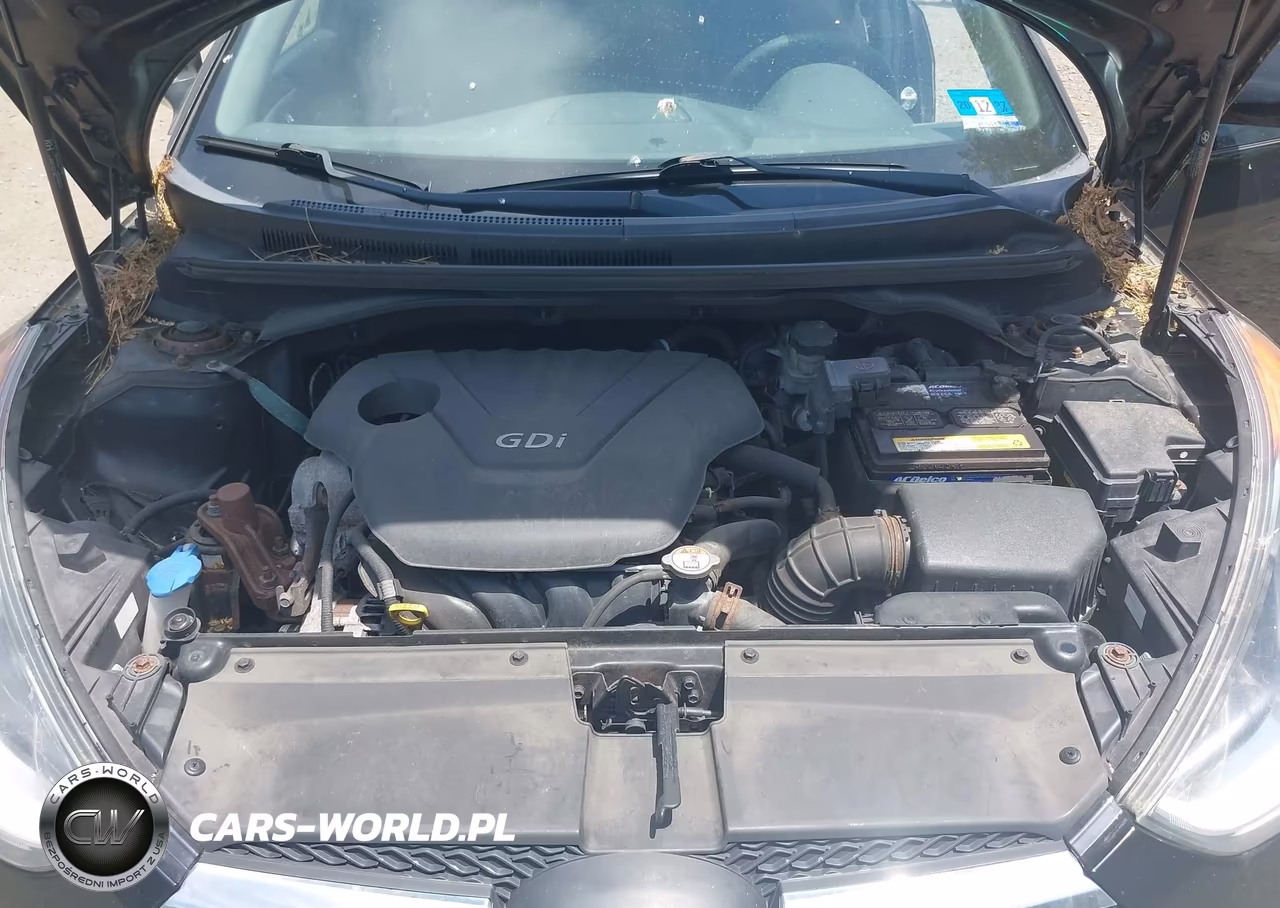 2014 Hyundai Veloster Base W-Black VIN:KMHTC6ADXEU212490 - 10