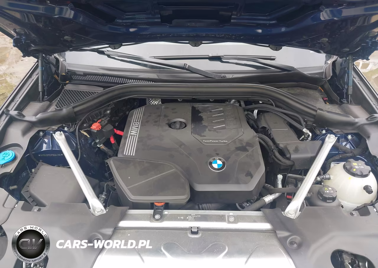 2023 BMW X3 xDrive30I VIN:5UX53DP03P9S64280 - 10